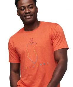 Cotopaxi Men's Electric Llama T-Shirt Mens