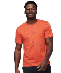 Cotopaxi Men's Electric Llama T-Shirt Mens