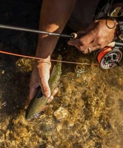 Sage Foundation Fly Fishing Rod 9 Sage Foundation Fly Fishing Rod